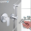 Встраиваемый смеситель с гигиеническим душем Gappo Noar G7248